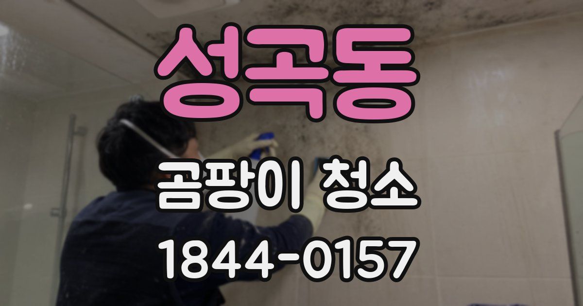 성곡동 곰팡이 청소