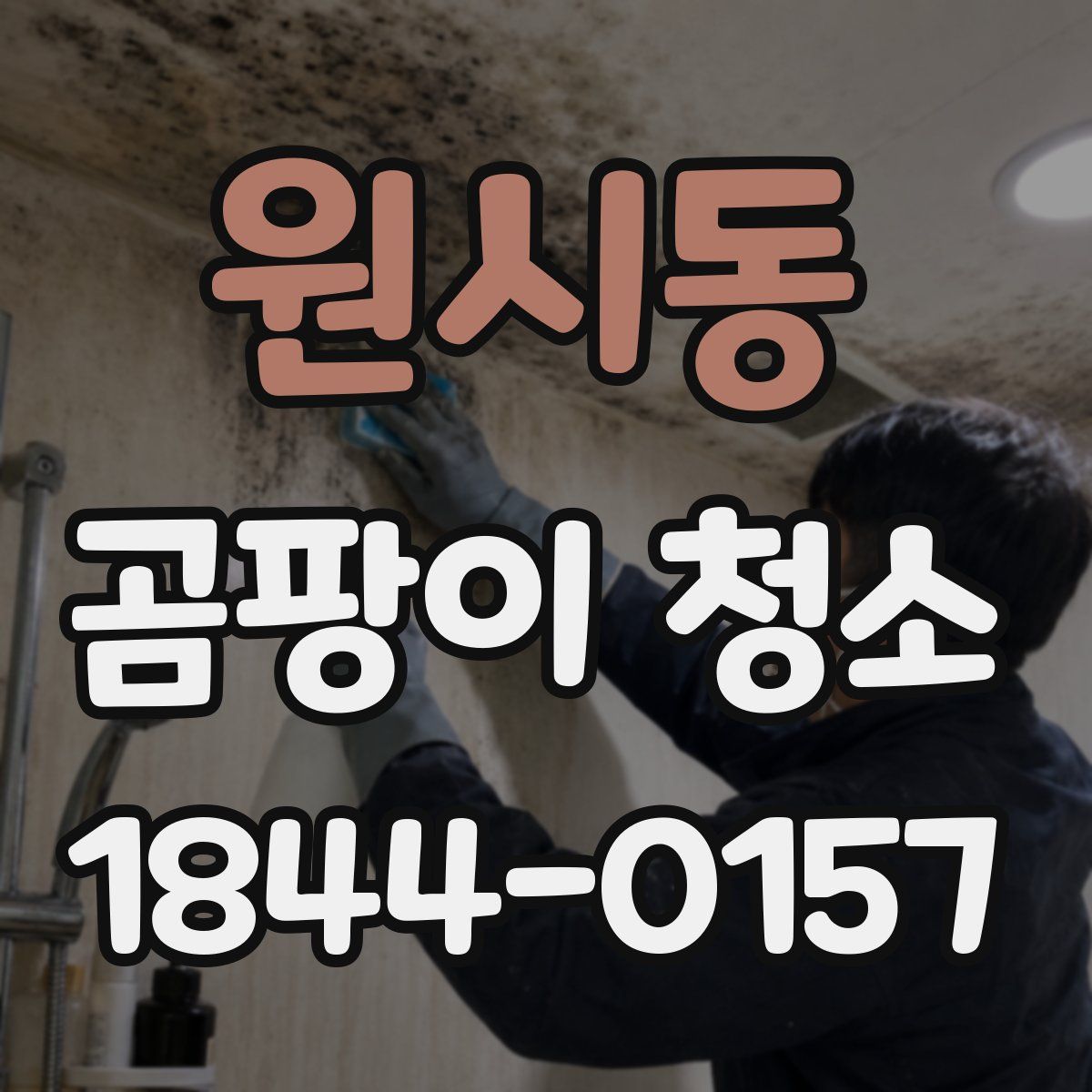 원시동 곰팡이 청소