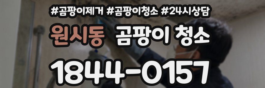 원시동 곰팡이 청소