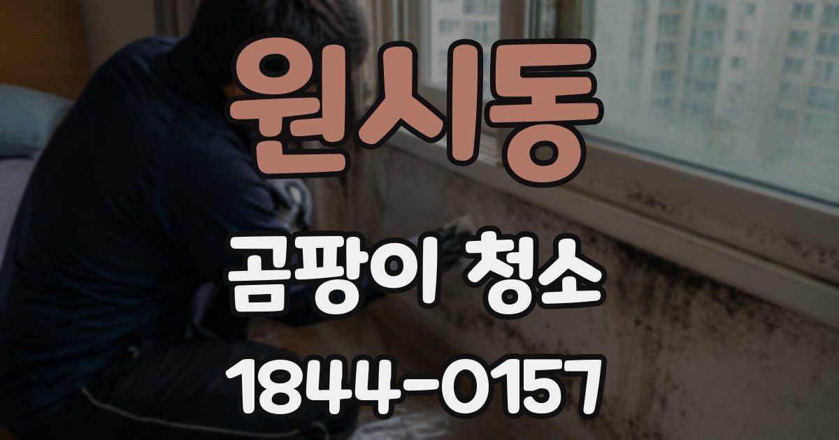 원시동 곰팡이 청소