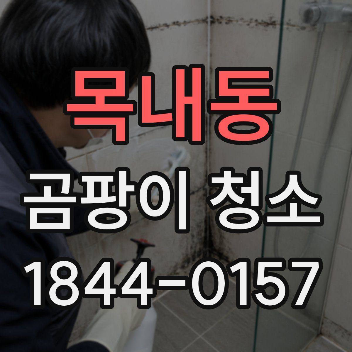 목내동 곰팡이 청소
