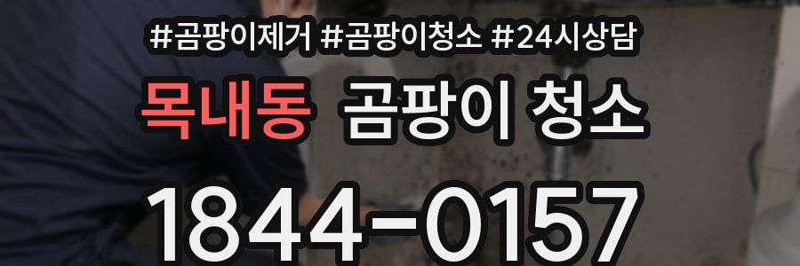 목내동 곰팡이 청소