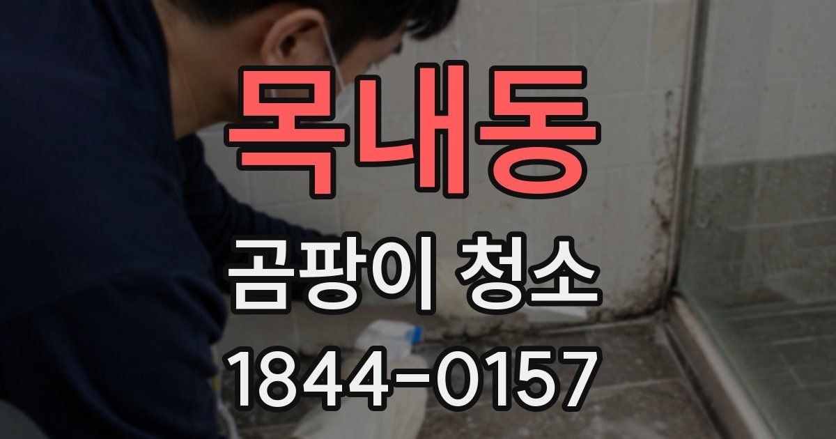 목내동 곰팡이 청소