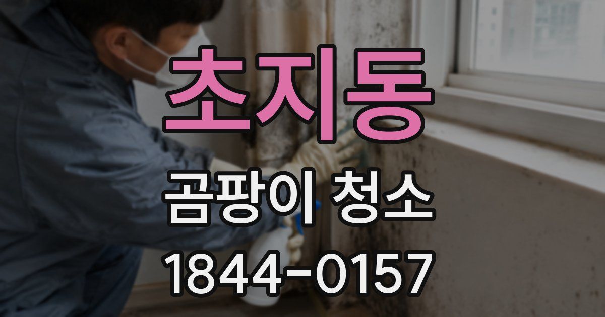초지동 곰팡이 청소