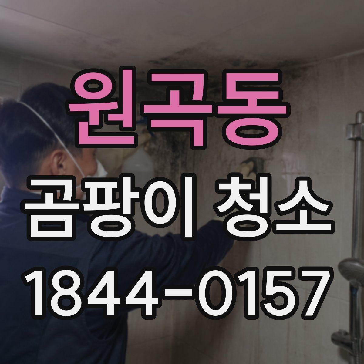 원곡동 곰팡이 청소 주거 공간별로 달라지는 접근법과 범위