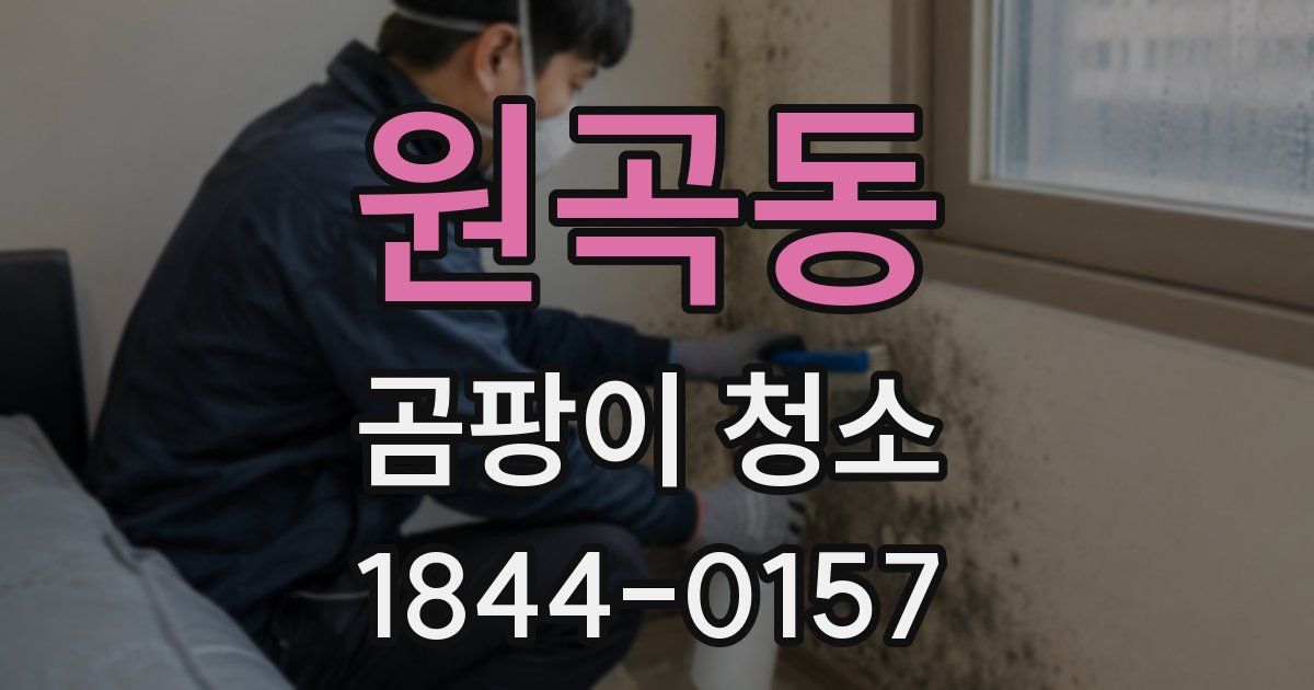 원곡동 곰팡이 청소