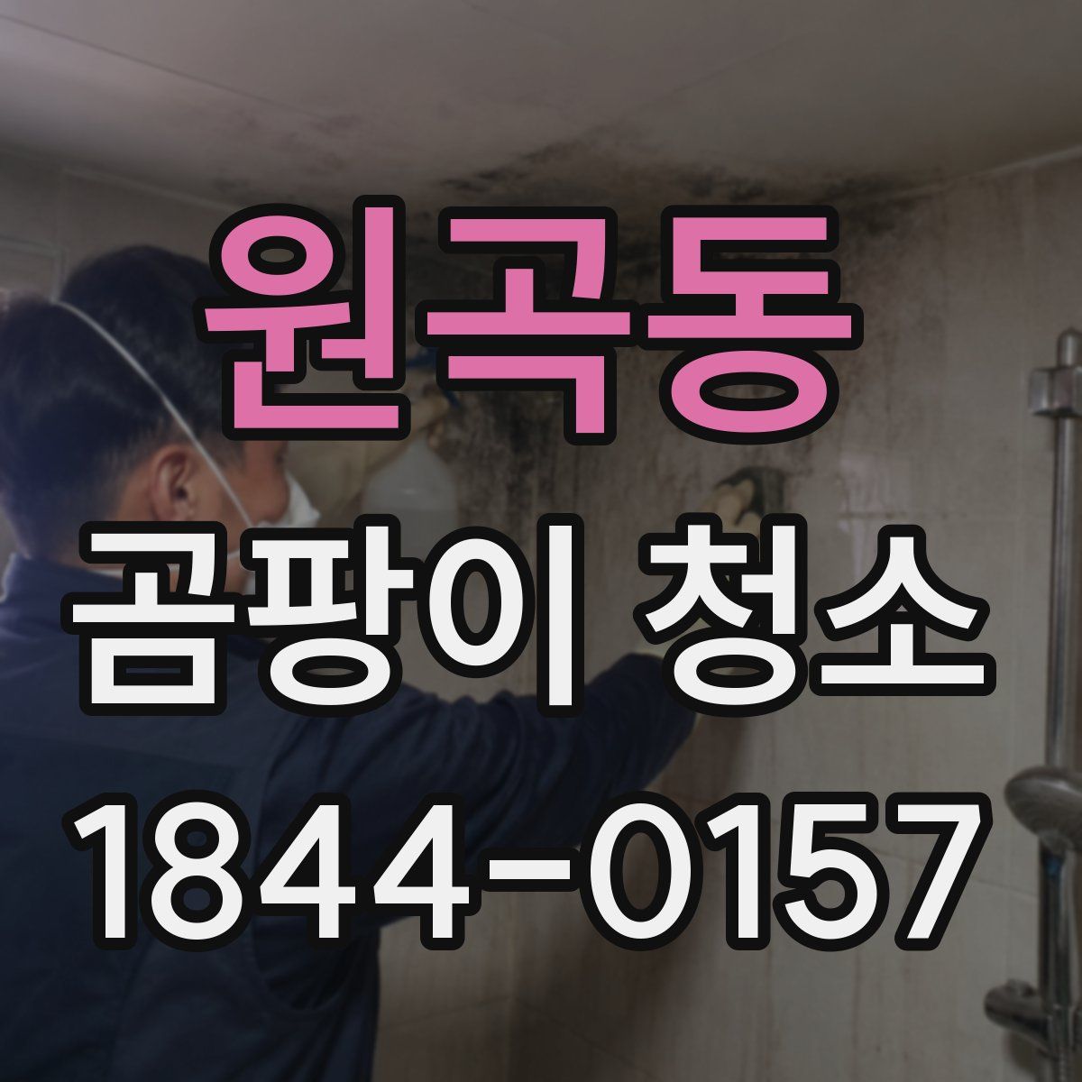 원곡동 곰팡이 청소