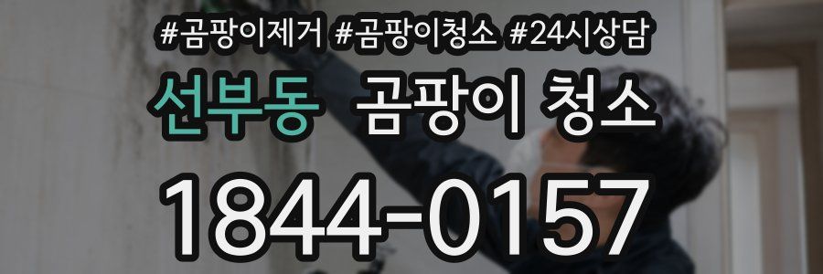 선부동 곰팡이 청소