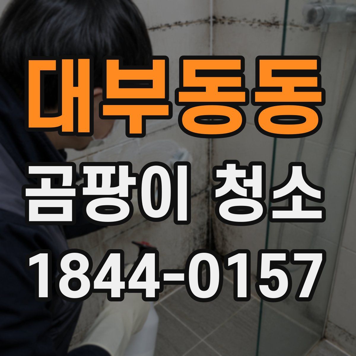 대부동동 곰팡이 청소