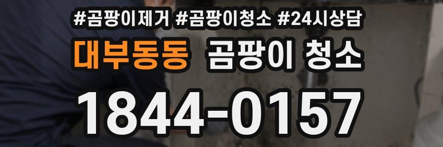 대부동동 곰팡이 청소