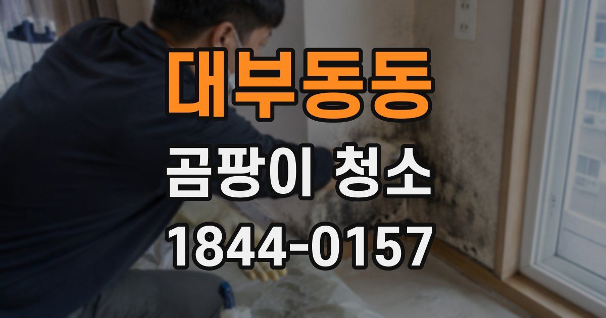 대부동동 곰팡이 청소