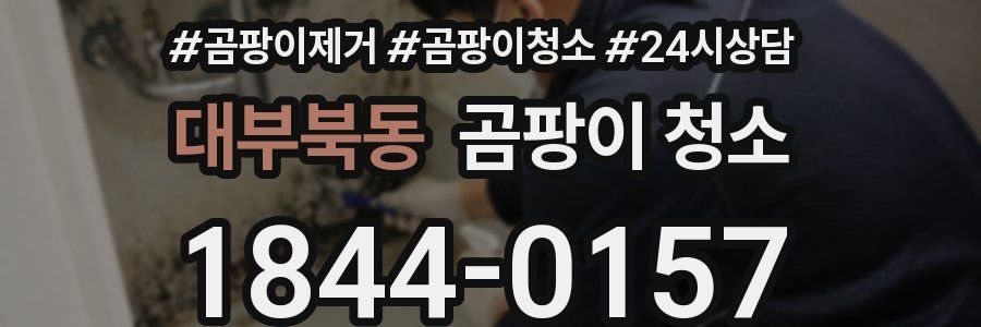 대부북동 곰팡이 청소