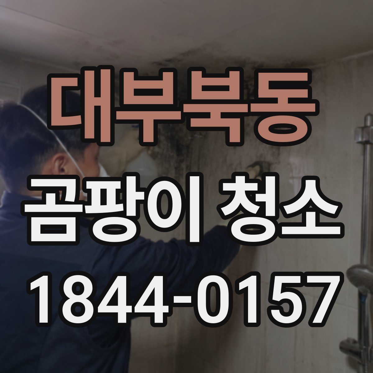 대부북동 곰팡이 청소
