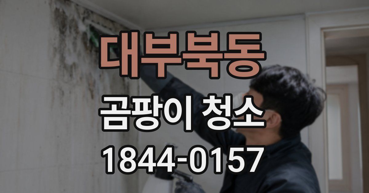 대부북동 곰팡이 청소