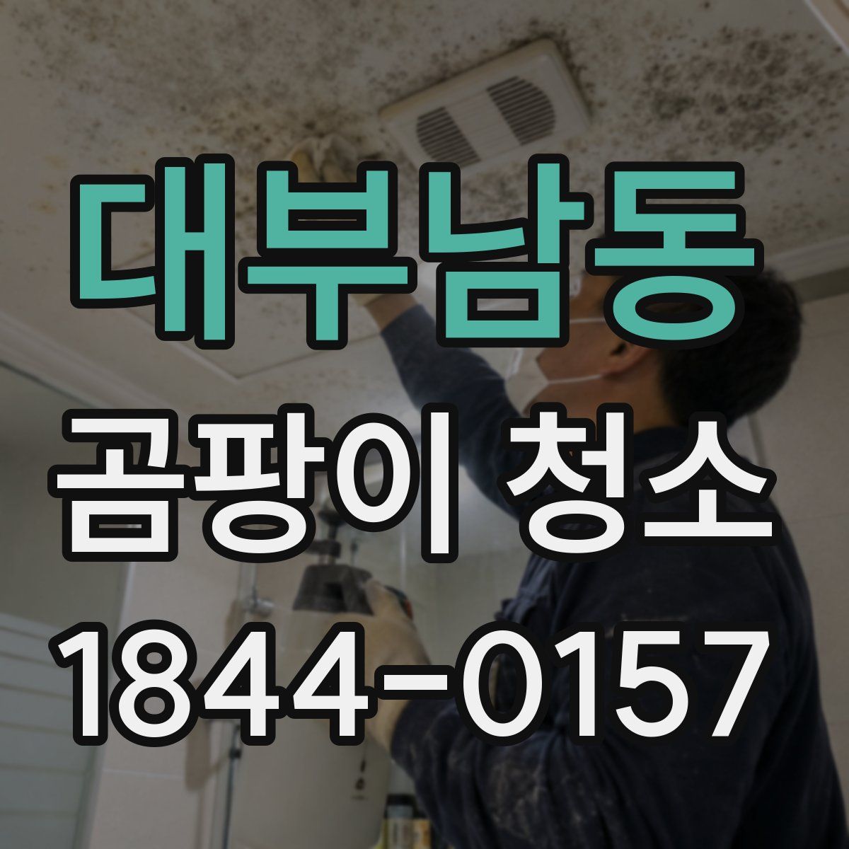 대부남동 곰팡이 청소