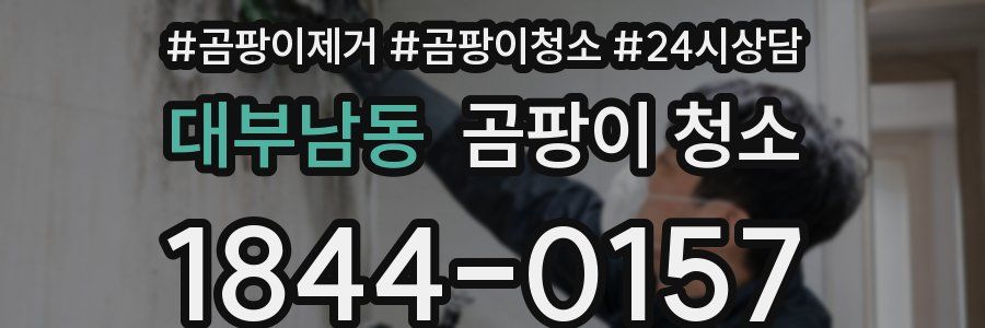 대부남동 곰팡이 청소