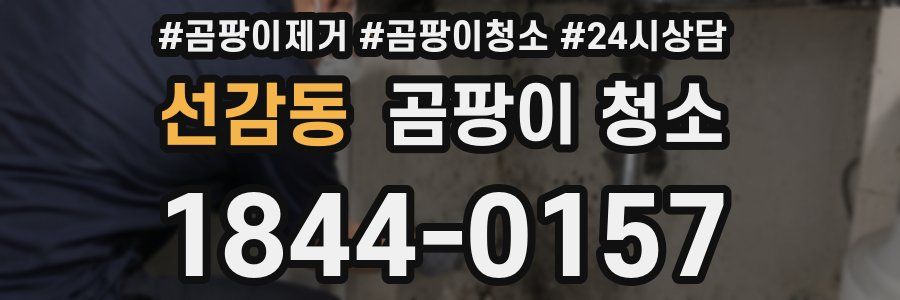 선감동 곰팡이 청소
