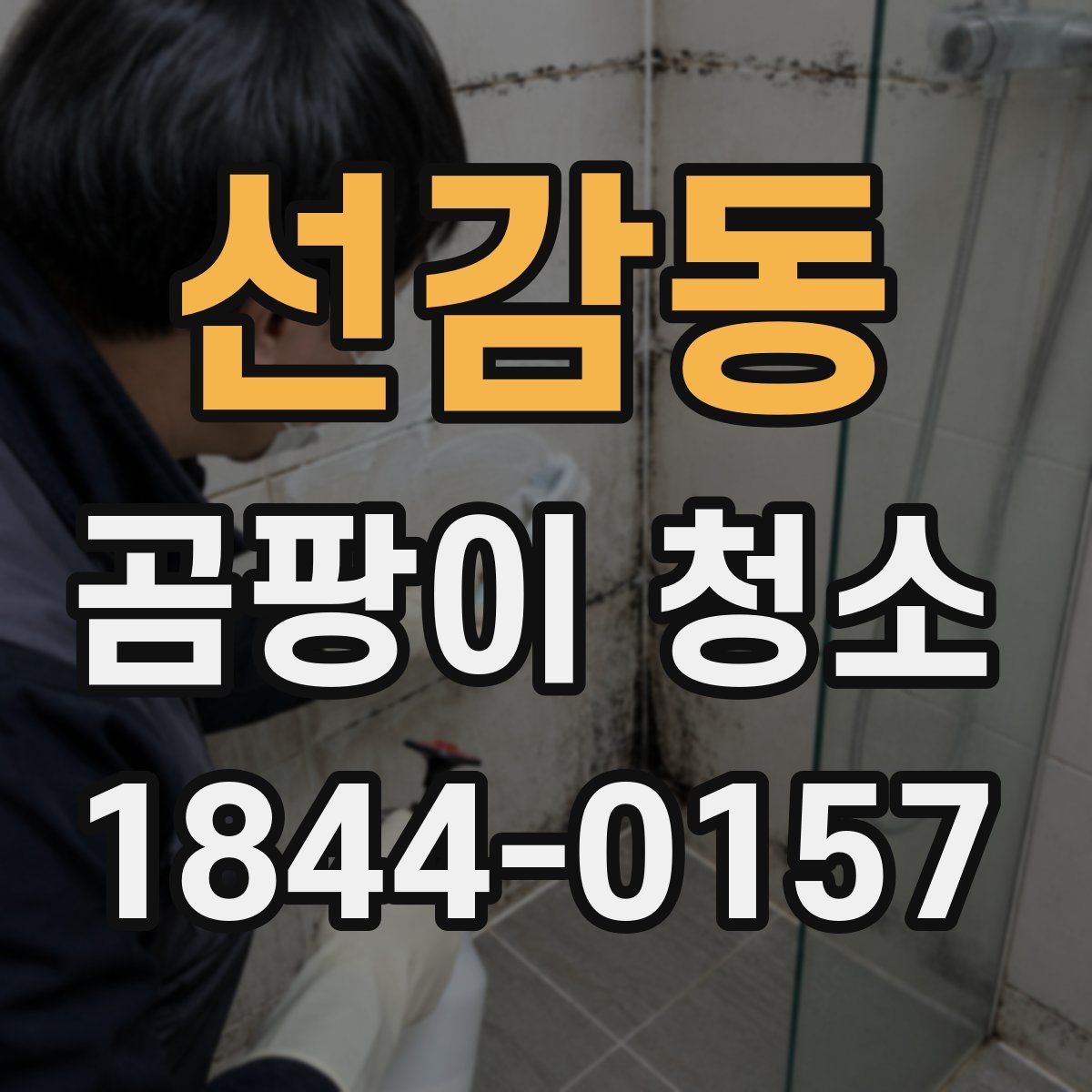 선감동 곰팡이 청소