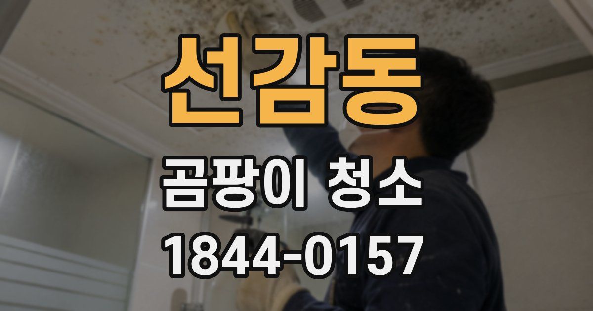 선감동 곰팡이 청소