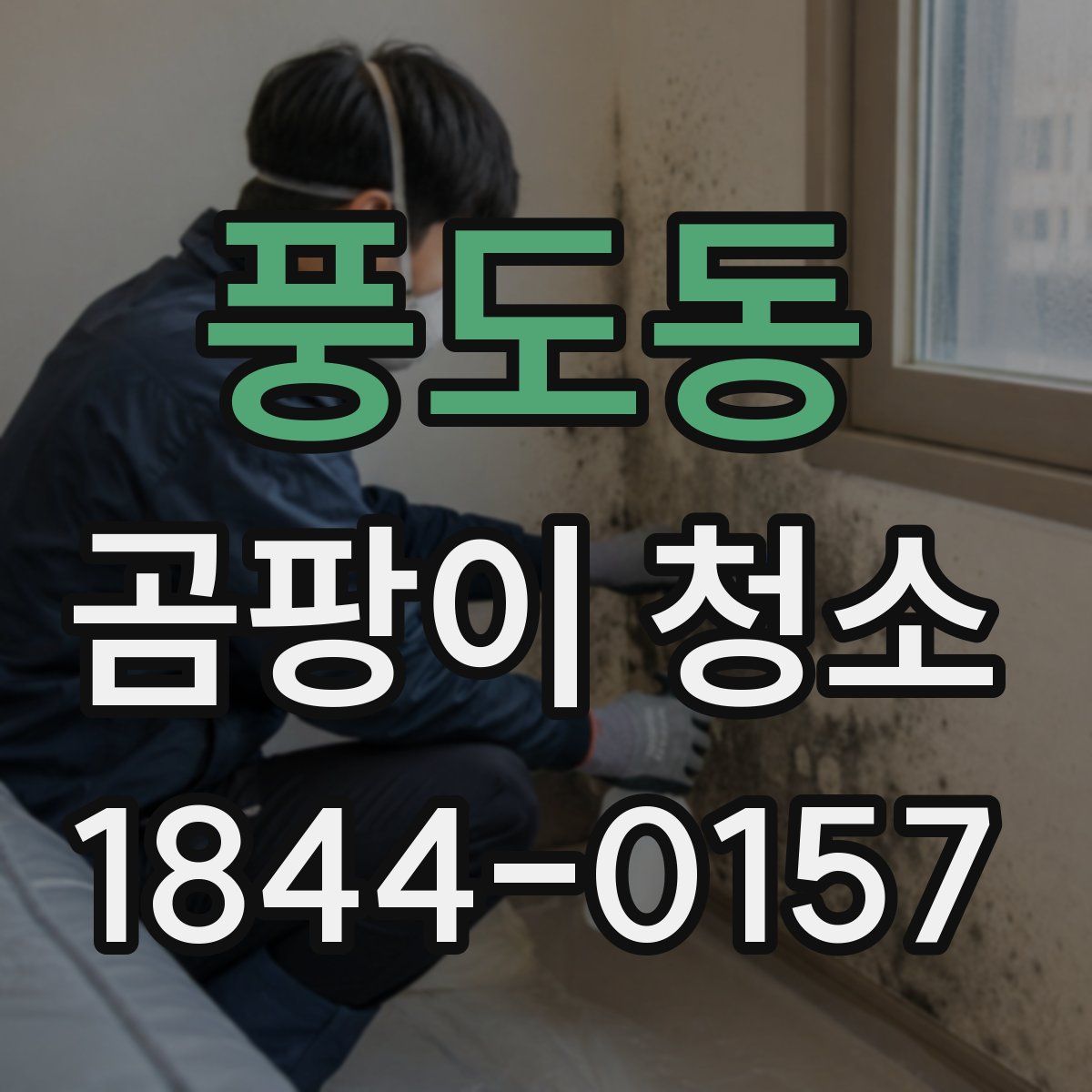 풍도동 곰팡이 청소