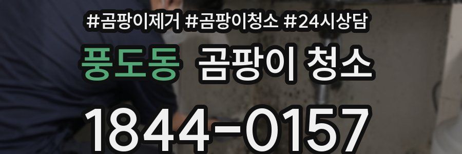 풍도동 곰팡이 청소