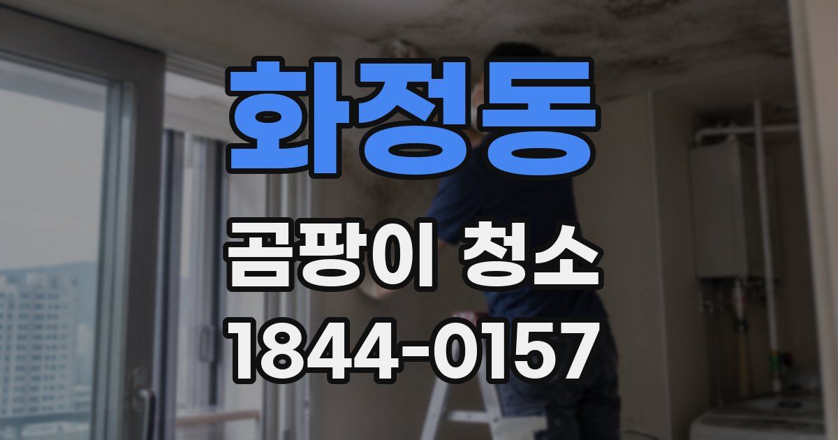 화정동 곰팡이 청소