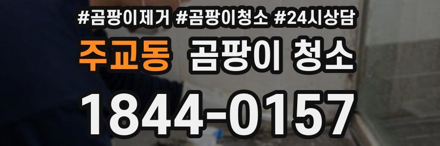 주교동 곰팡이 청소