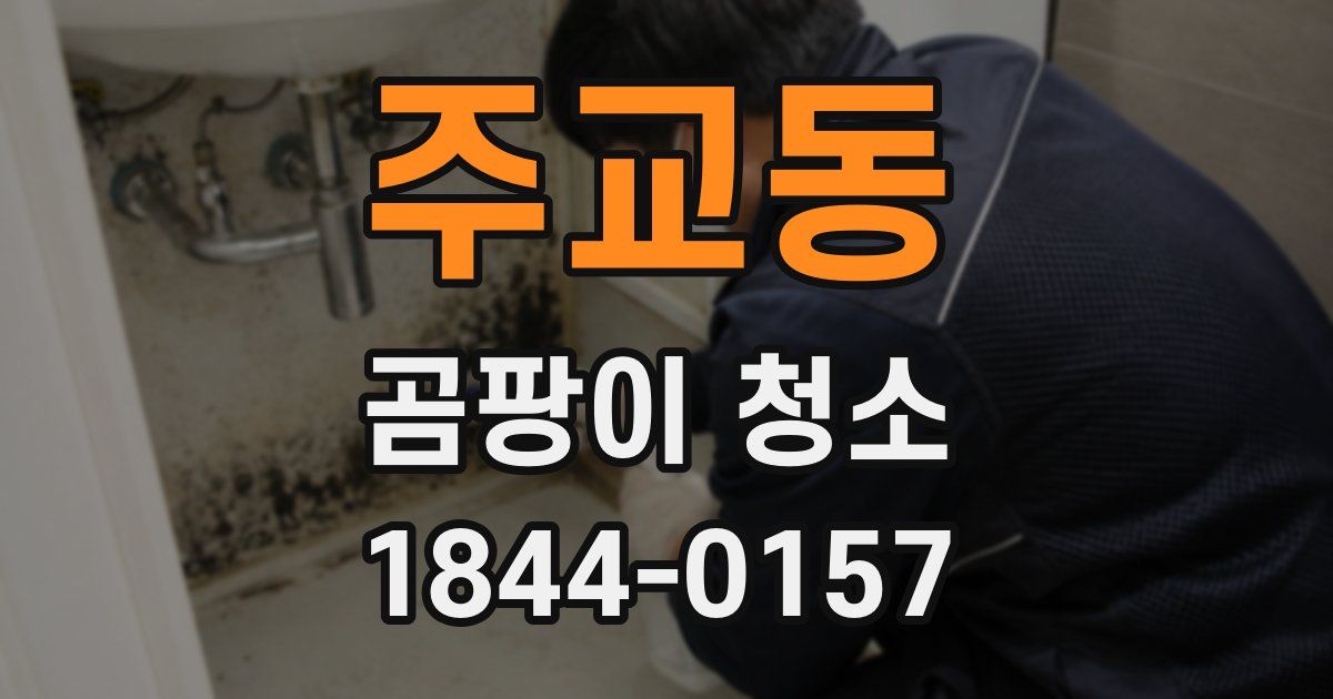 주교동 곰팡이 청소