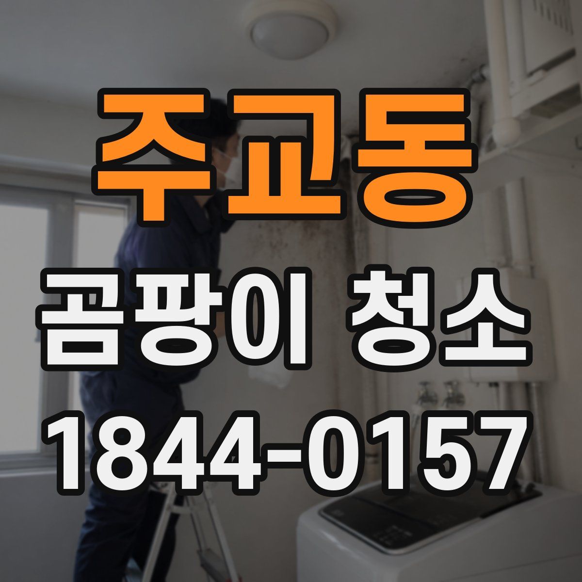 주교동 곰팡이 청소