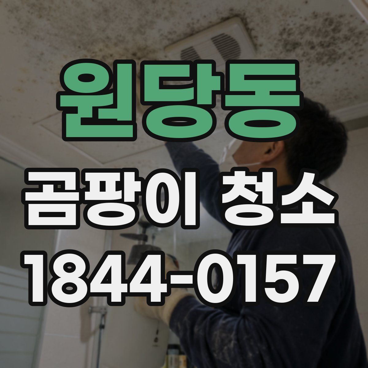 원당동 곰팡이 청소