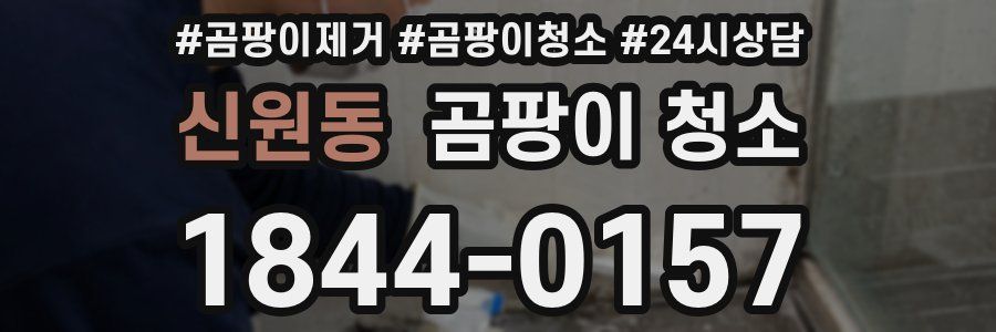 신원동 곰팡이 청소