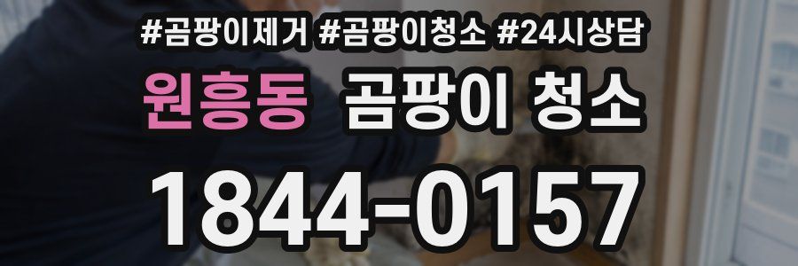 원흥동 곰팡이 청소