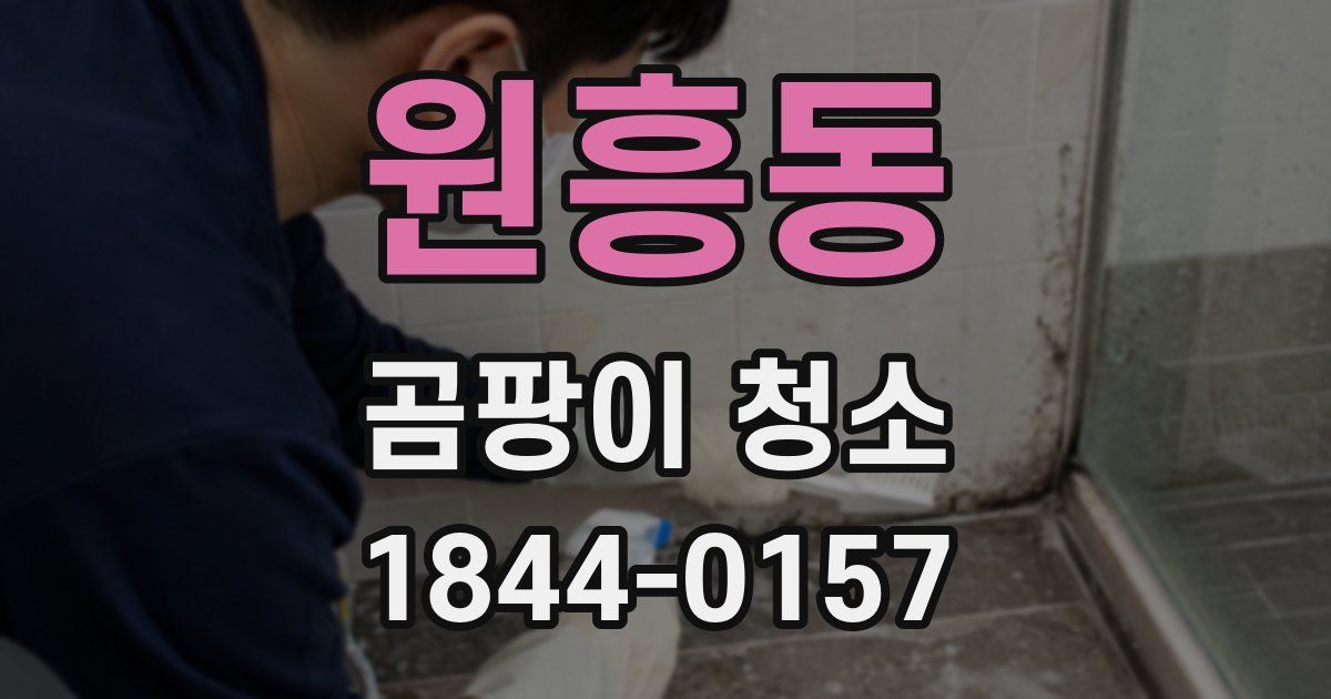 원흥동 곰팡이 청소