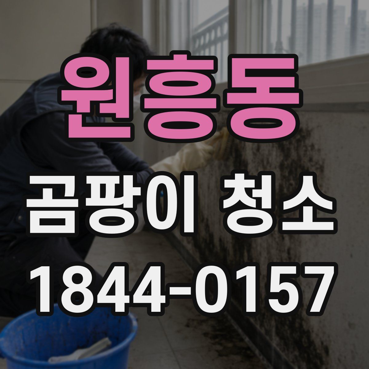 원흥동 곰팡이 청소