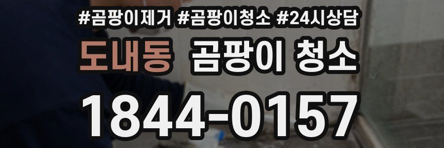도내동 곰팡이 청소