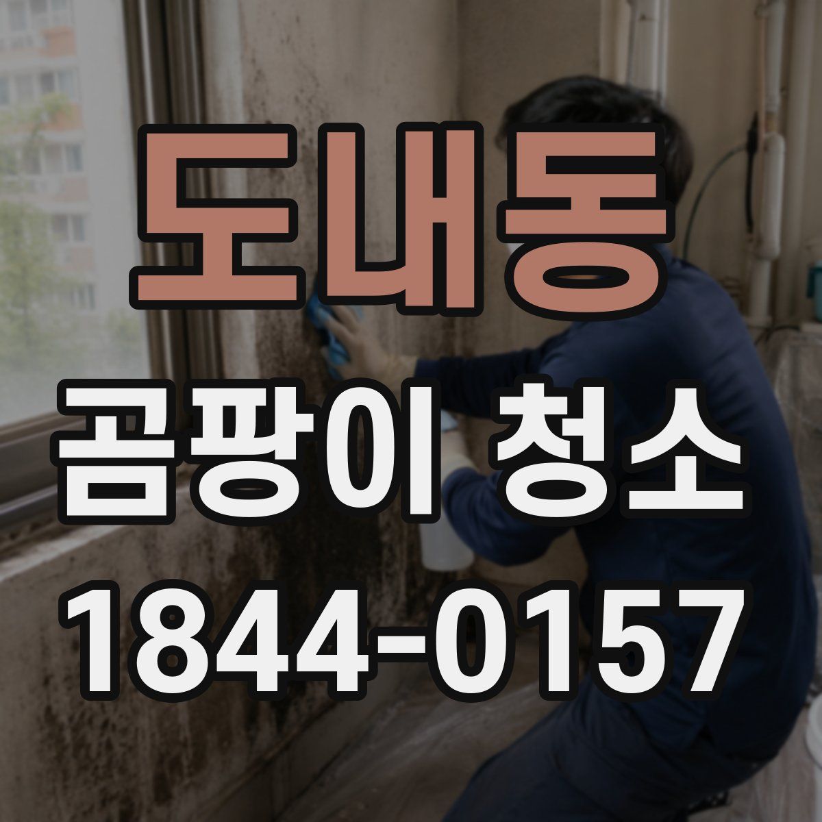 도내동 곰팡이 청소