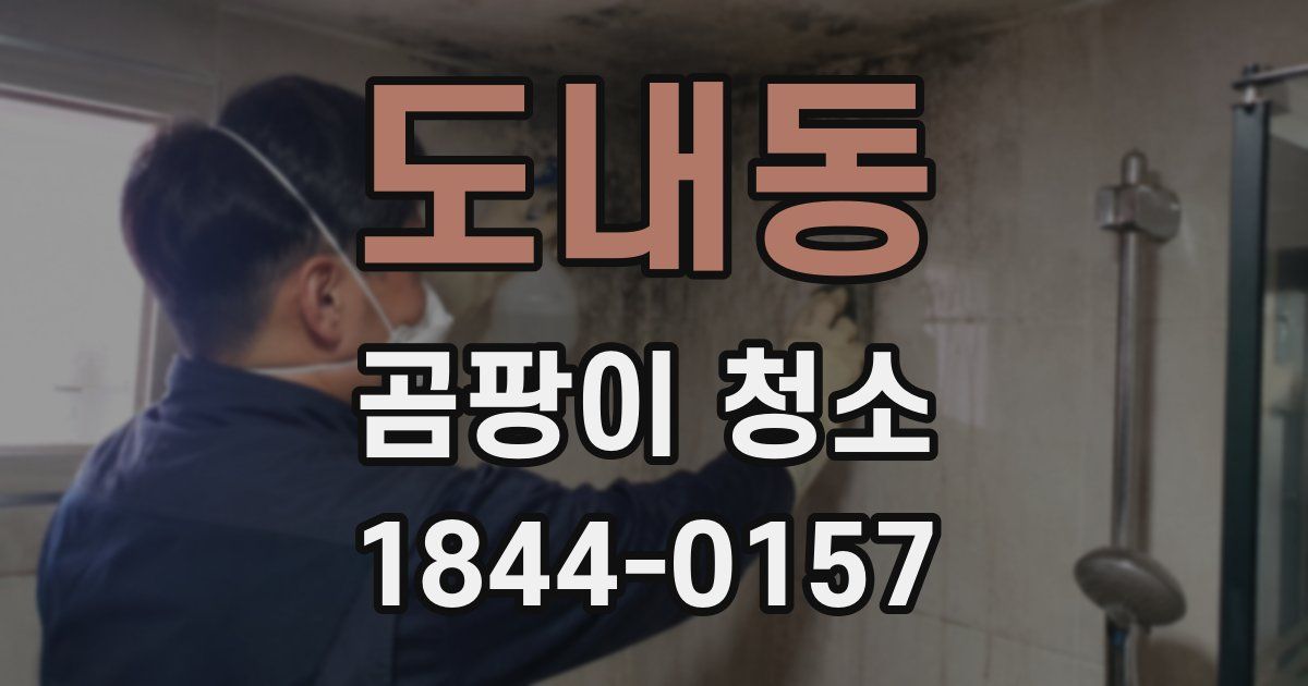 도내동 곰팡이 청소