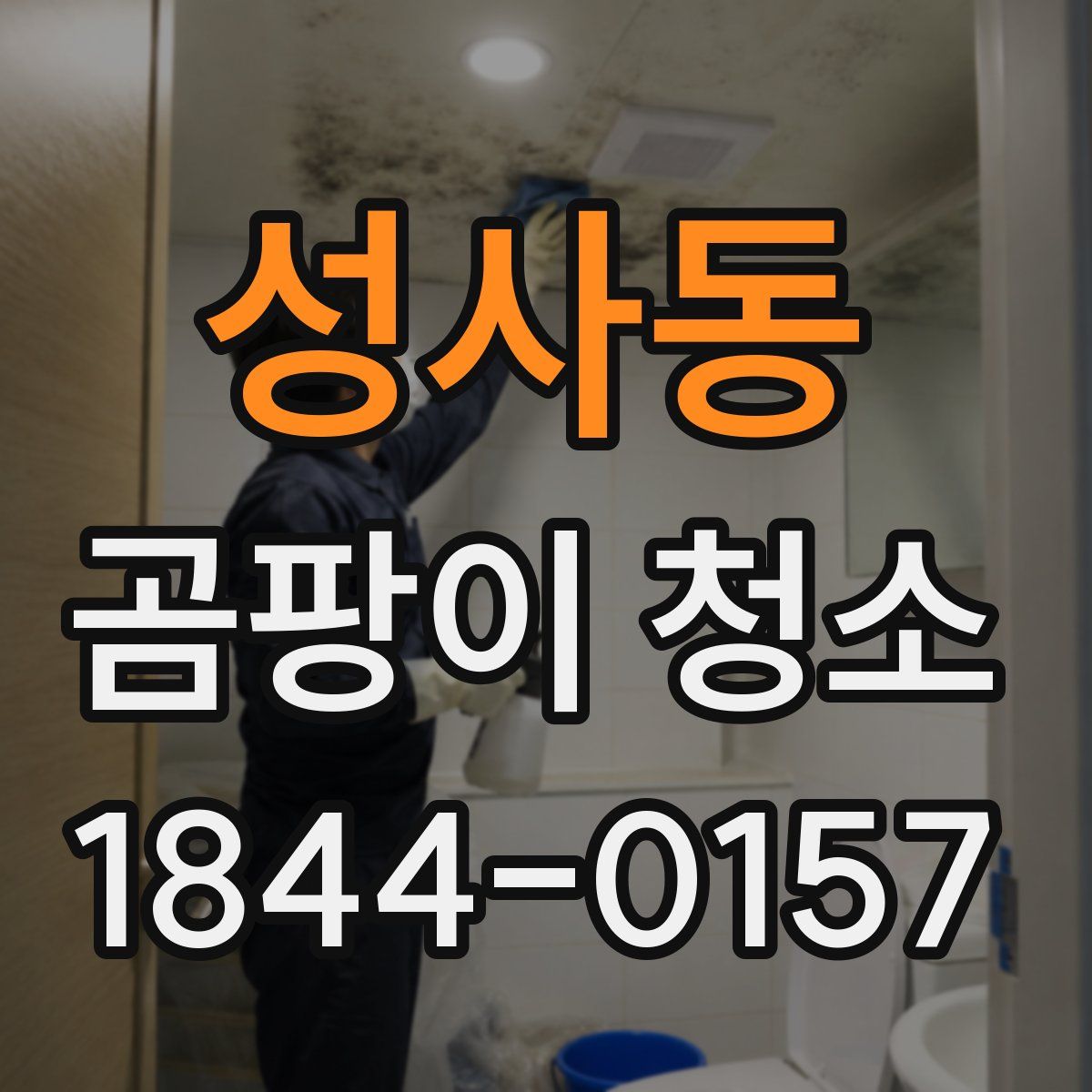 성사동 곰팡이 청소