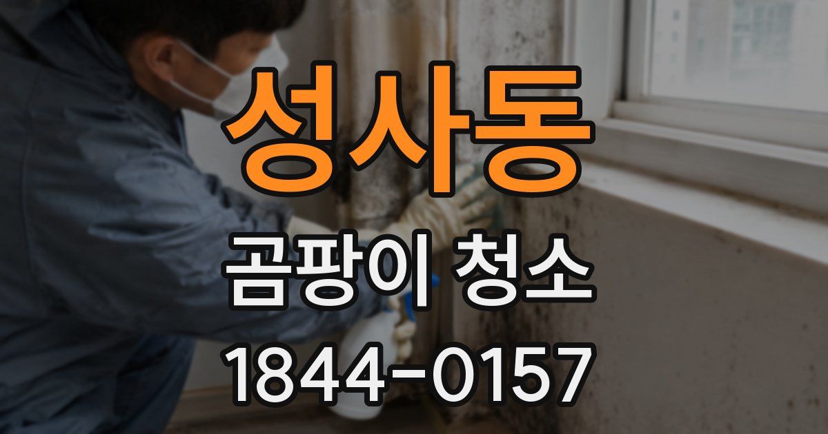 성사동 곰팡이 청소