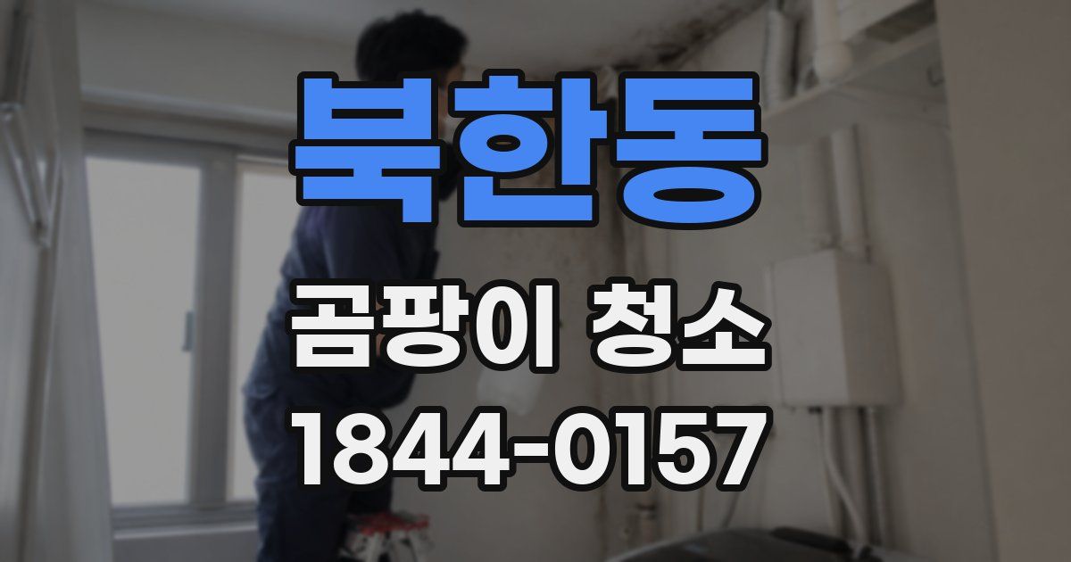 북한동 곰팡이 청소