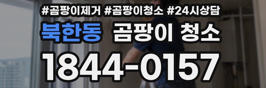 북한동 곰팡이 청소
