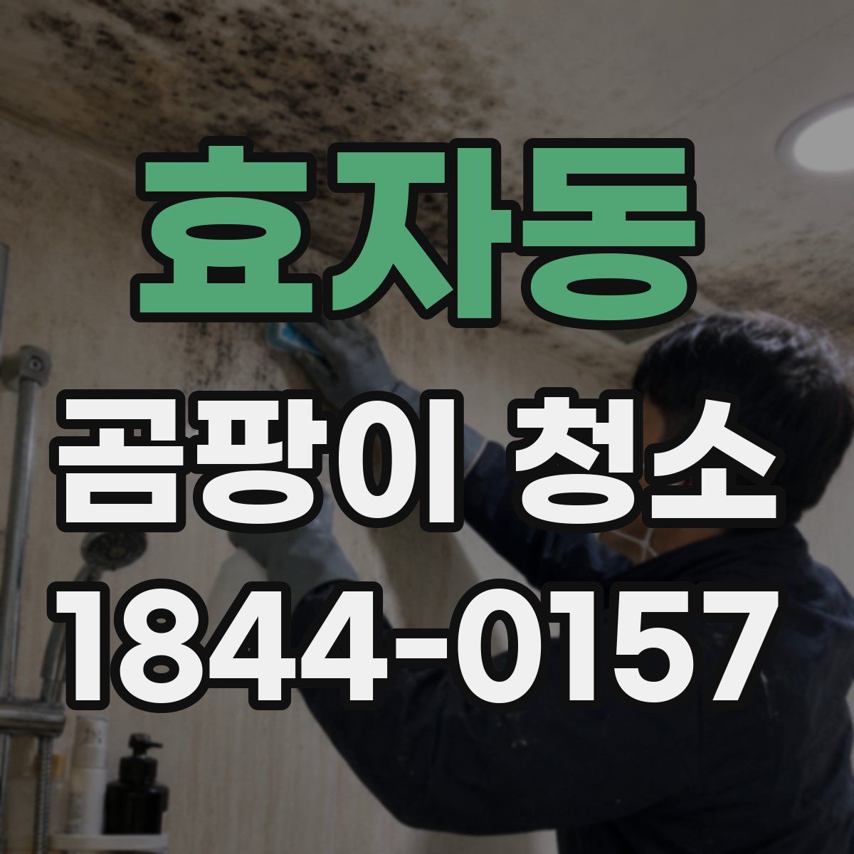 효자동 곰팡이 청소