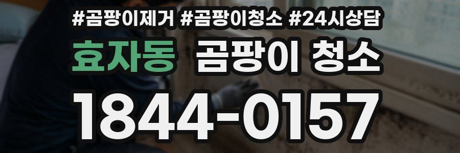 효자동 곰팡이 청소