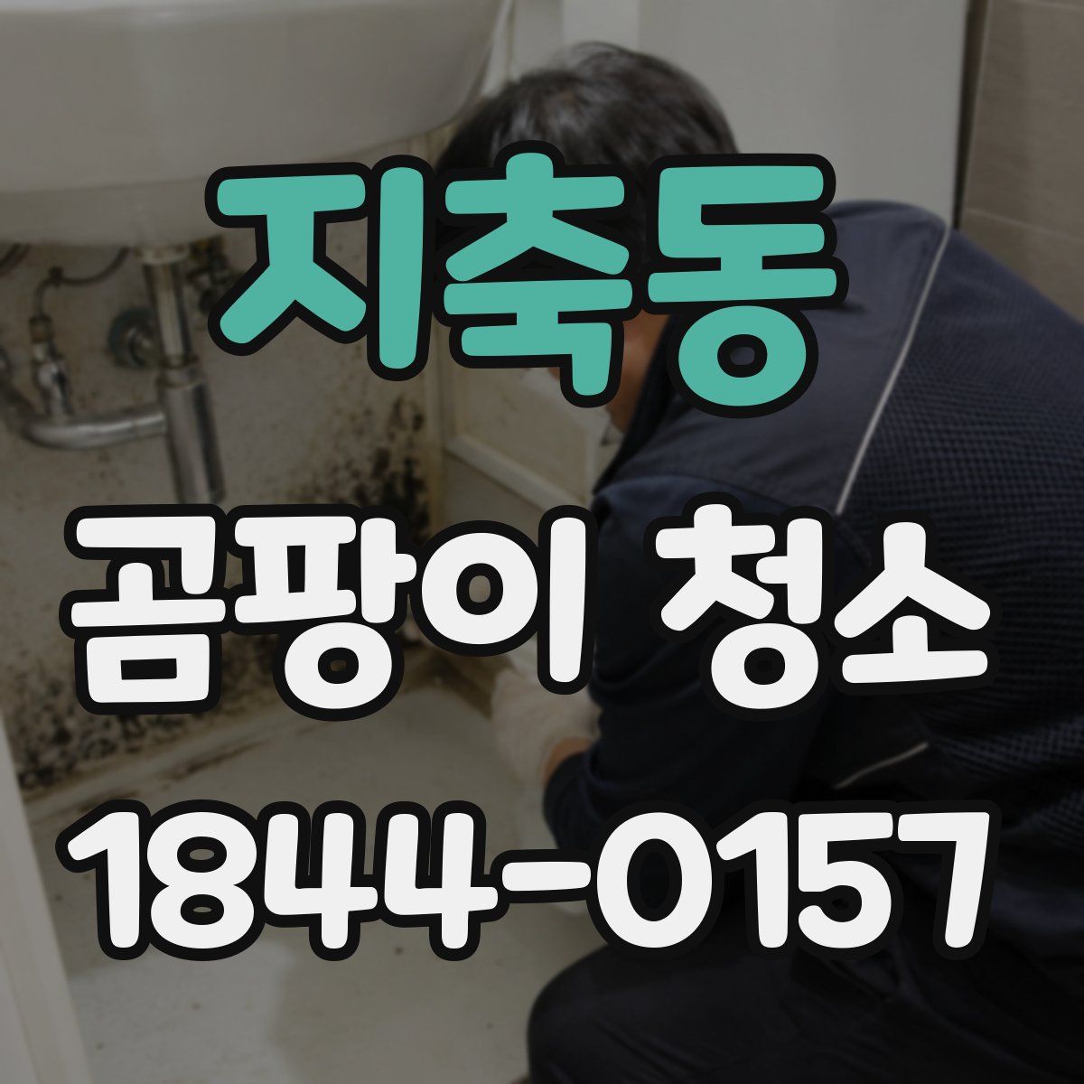 지축동 곰팡이 청소