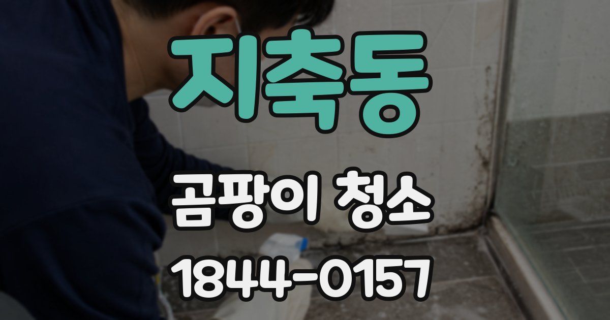 지축동 곰팡이 청소