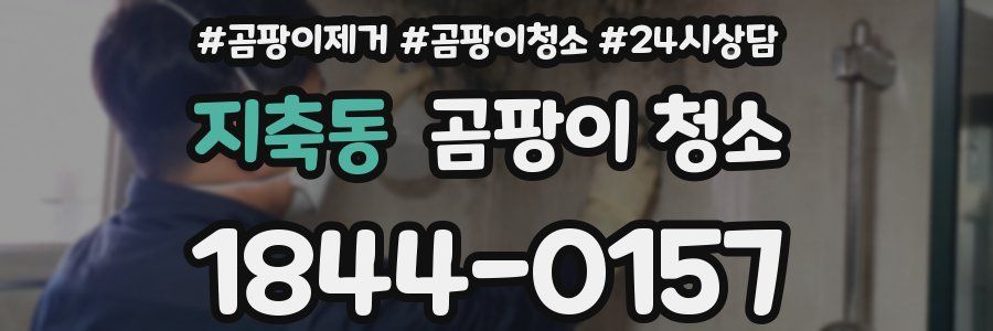 지축동 곰팡이 청소