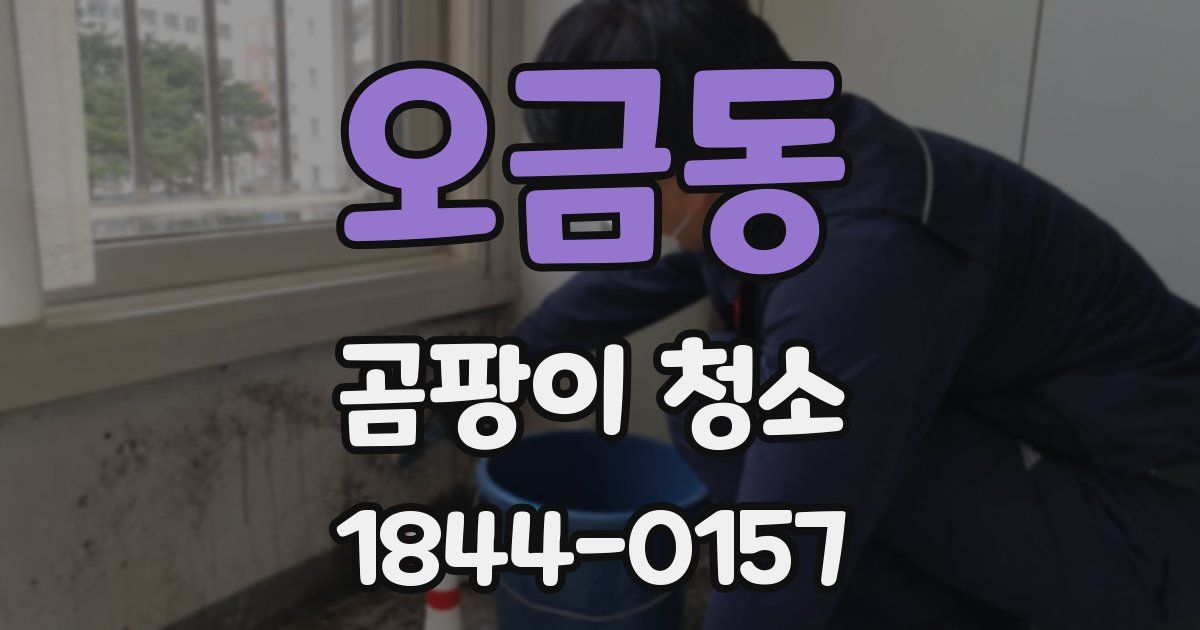 오금동 곰팡이 청소