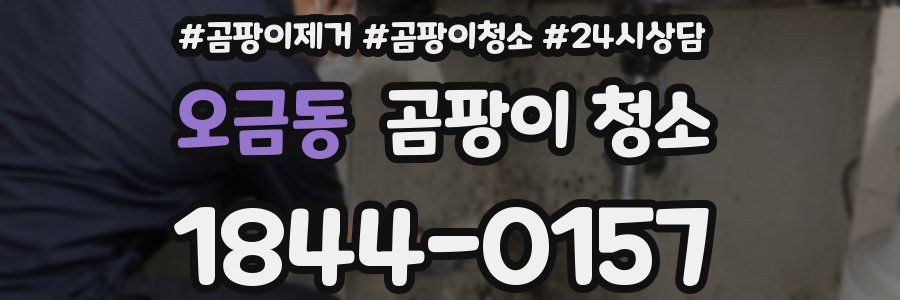 오금동 곰팡이 청소