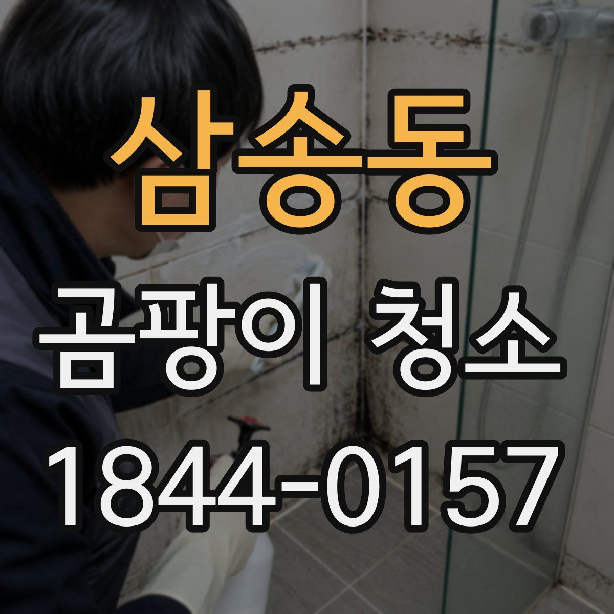 삼송동 곰팡이 청소