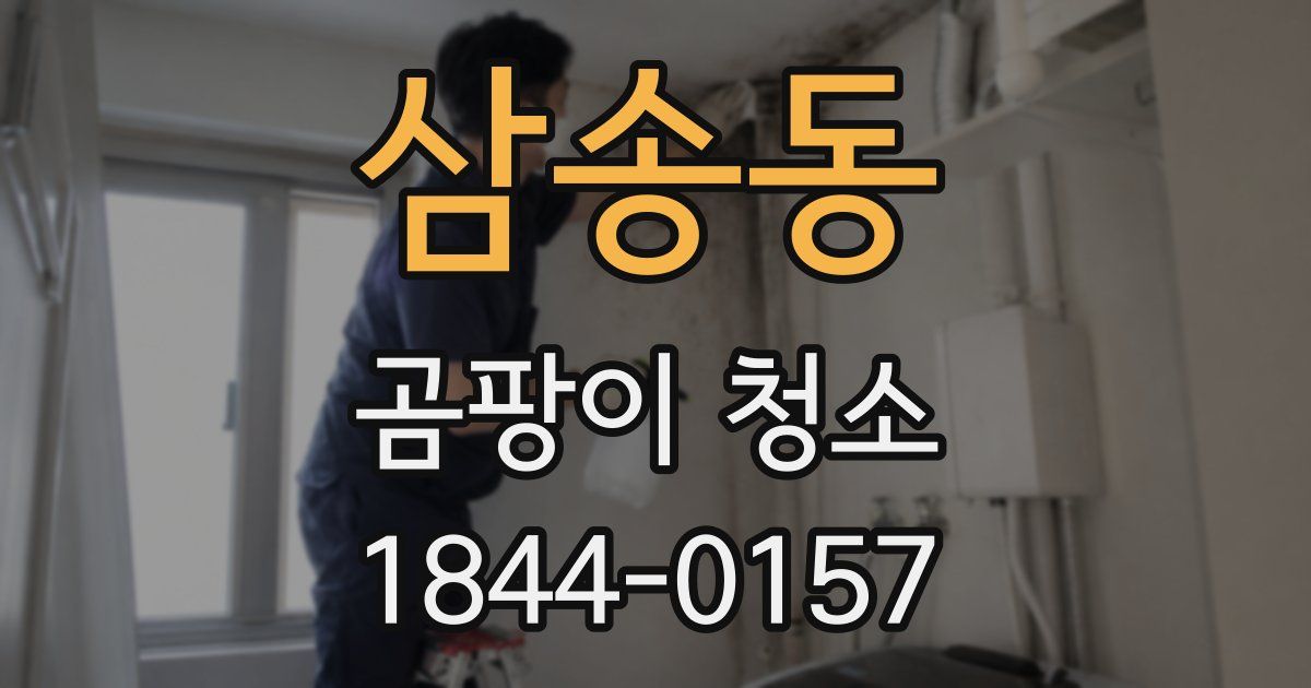 삼송동 곰팡이 청소